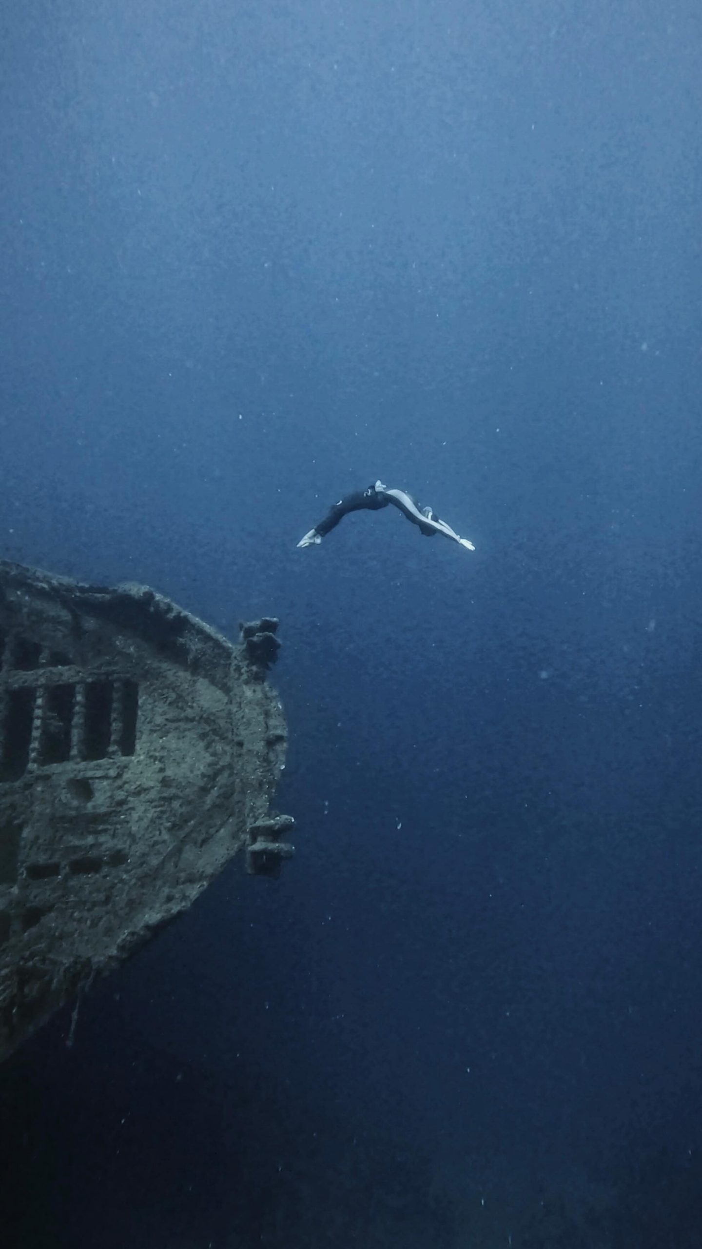 imgi 10 502696561 18082912819776954 3460273574195792254 n