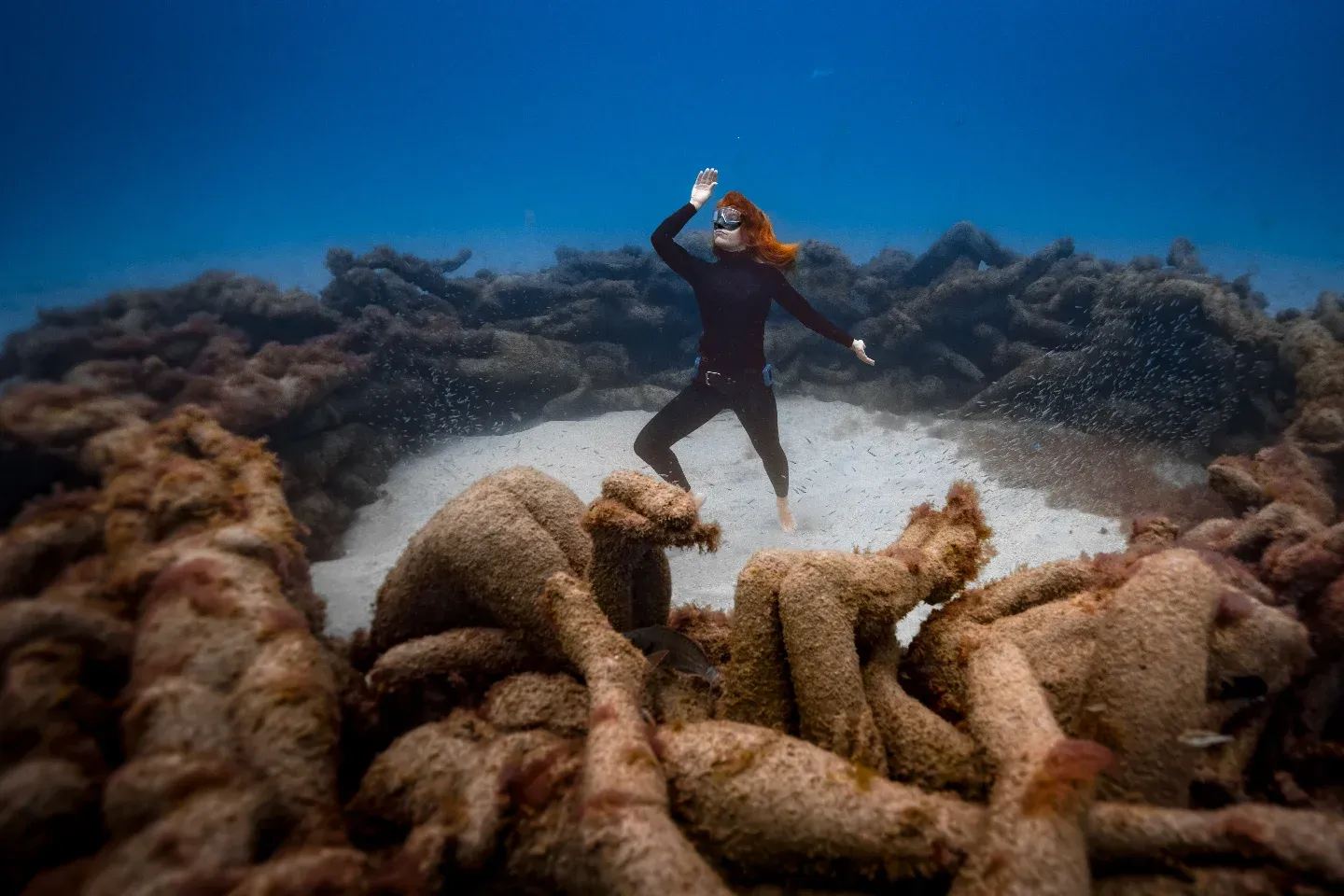 imgi 15 491415360 18479473765064719 3649449260948173516 n